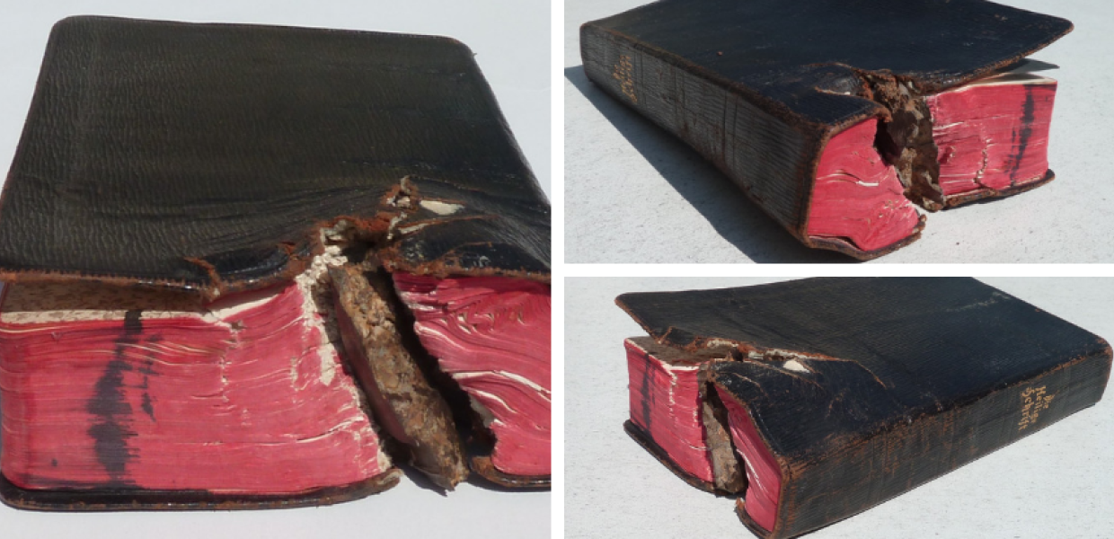 Die Bibel als Rettung vor dem Tod | Prof. Dr. Gottfried Geiler, 1917, Europeana 1914-1918, CC0